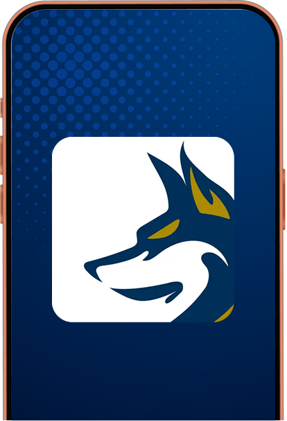 Phone Mockup